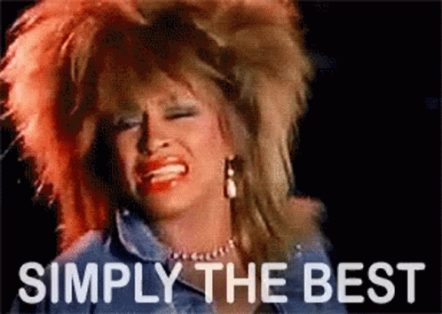 meme of tina turner saying simply the best
